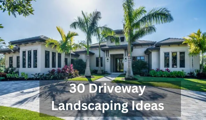 Driveway Landscaping Ideas