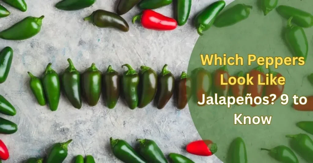 Which Peppers Look Like Jalapeños