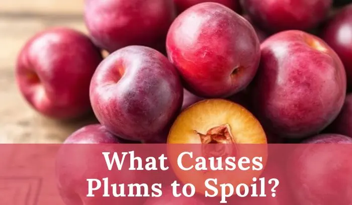 How to Tell if Plums Have Gone Bad