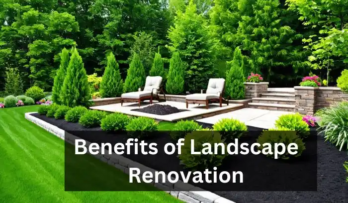 Benefits of Landscape Renovation