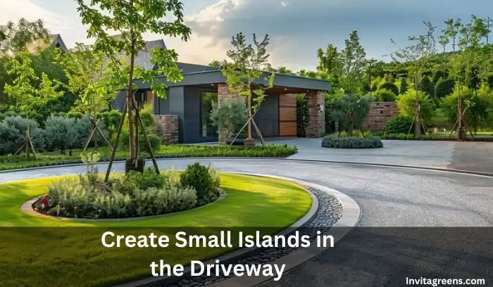 Driveway Landscaping Ideas