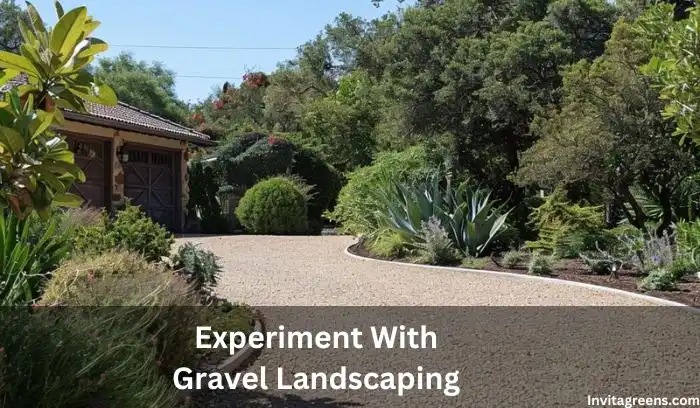 Driveway Landscaping Ideas