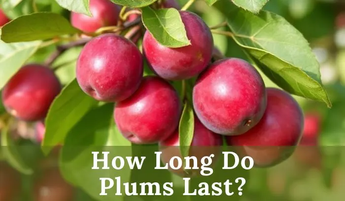 How to Tell if Plums Have Gone Bad