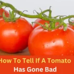 How To Tell If A Tomato Has Gone Bad