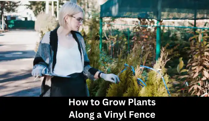 How to Grow Plants Along a Vinyl Fence