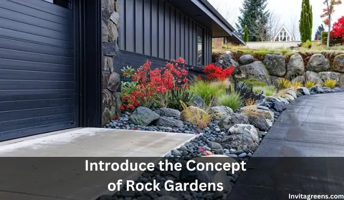 Driveway Landscaping Ideas