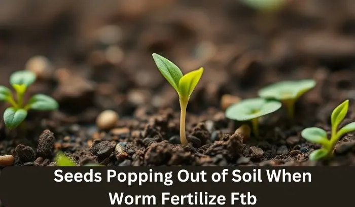 Seeds Popping Out of Soil When Worm Fertilize Ftb