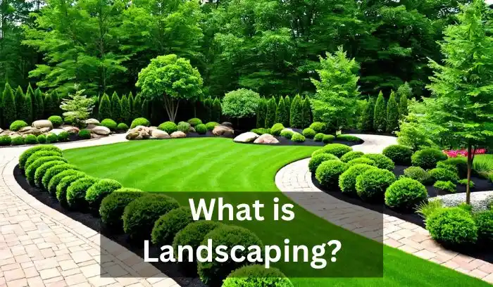 What is Landscaping?