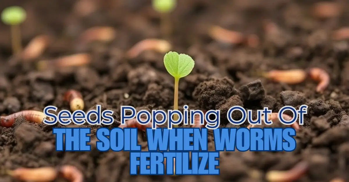 Why Are Seeds Popping Out of the Soil When Worms Fertilize?