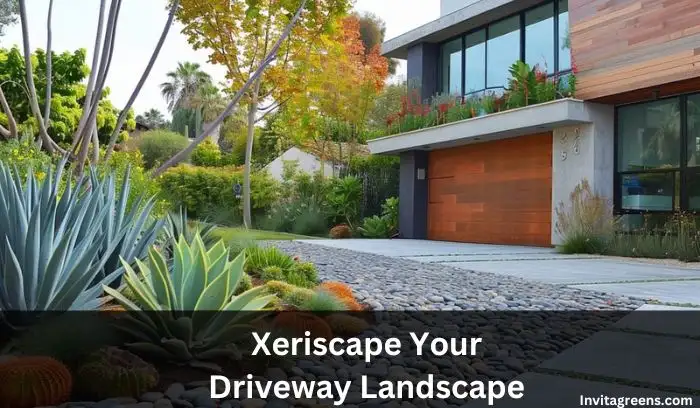 Driveway Landscaping Ideas